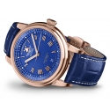 AVIATOR Swiss Made Douglas Day Date V.3.35.2.277.4 męski zegarek z datownikiem